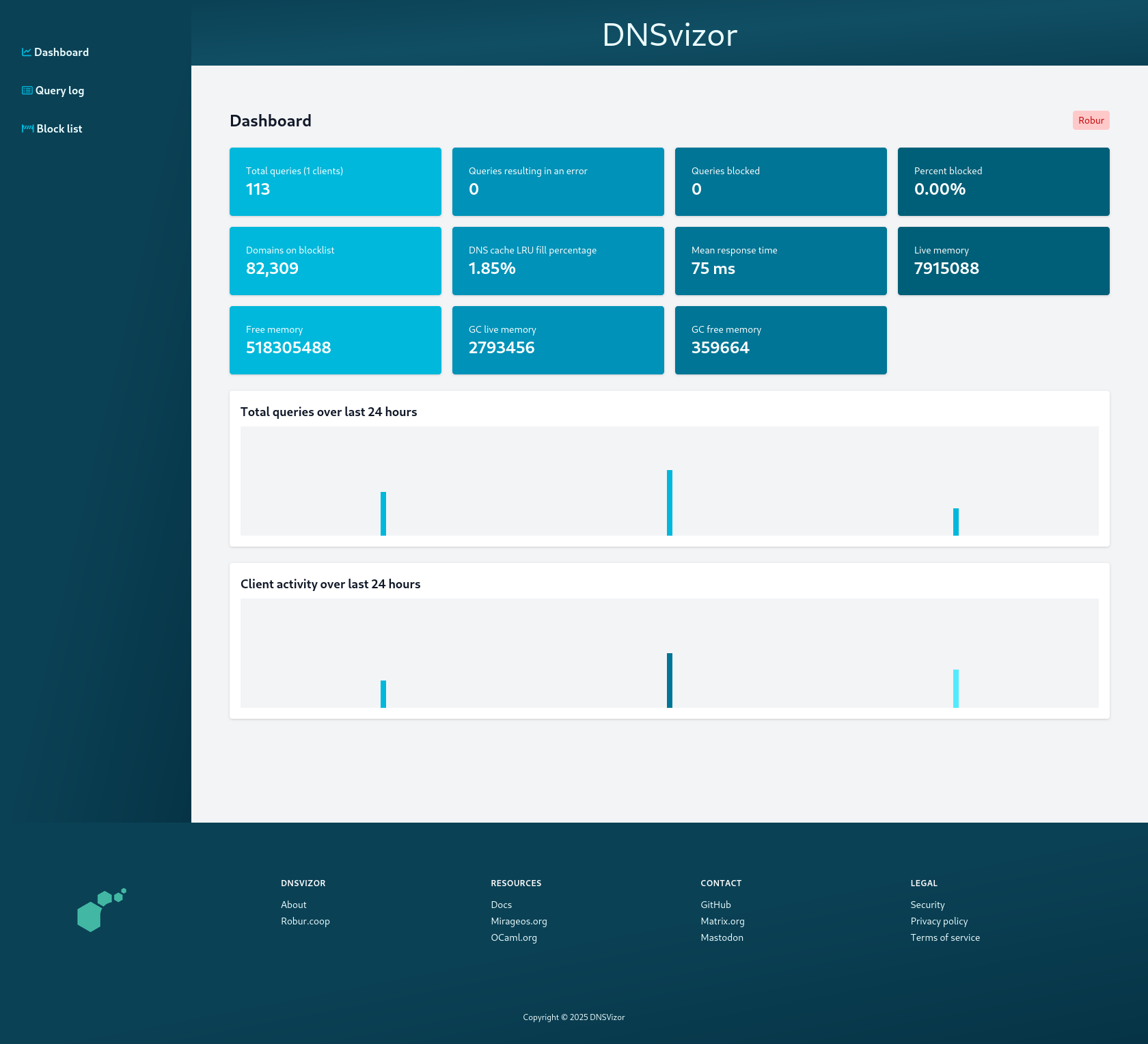DNSvizor screenshot